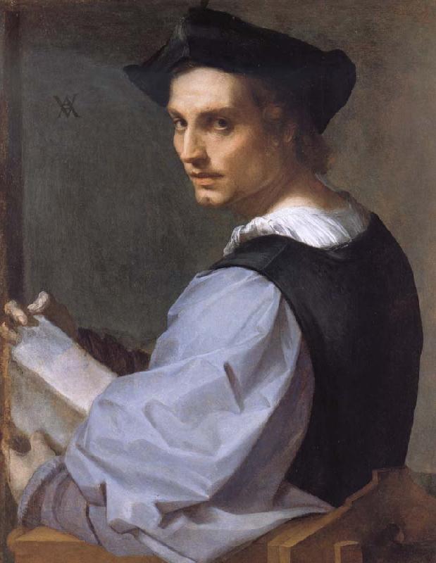 Andrea del Sarto Portrait of a Young Man Germany oil painting art